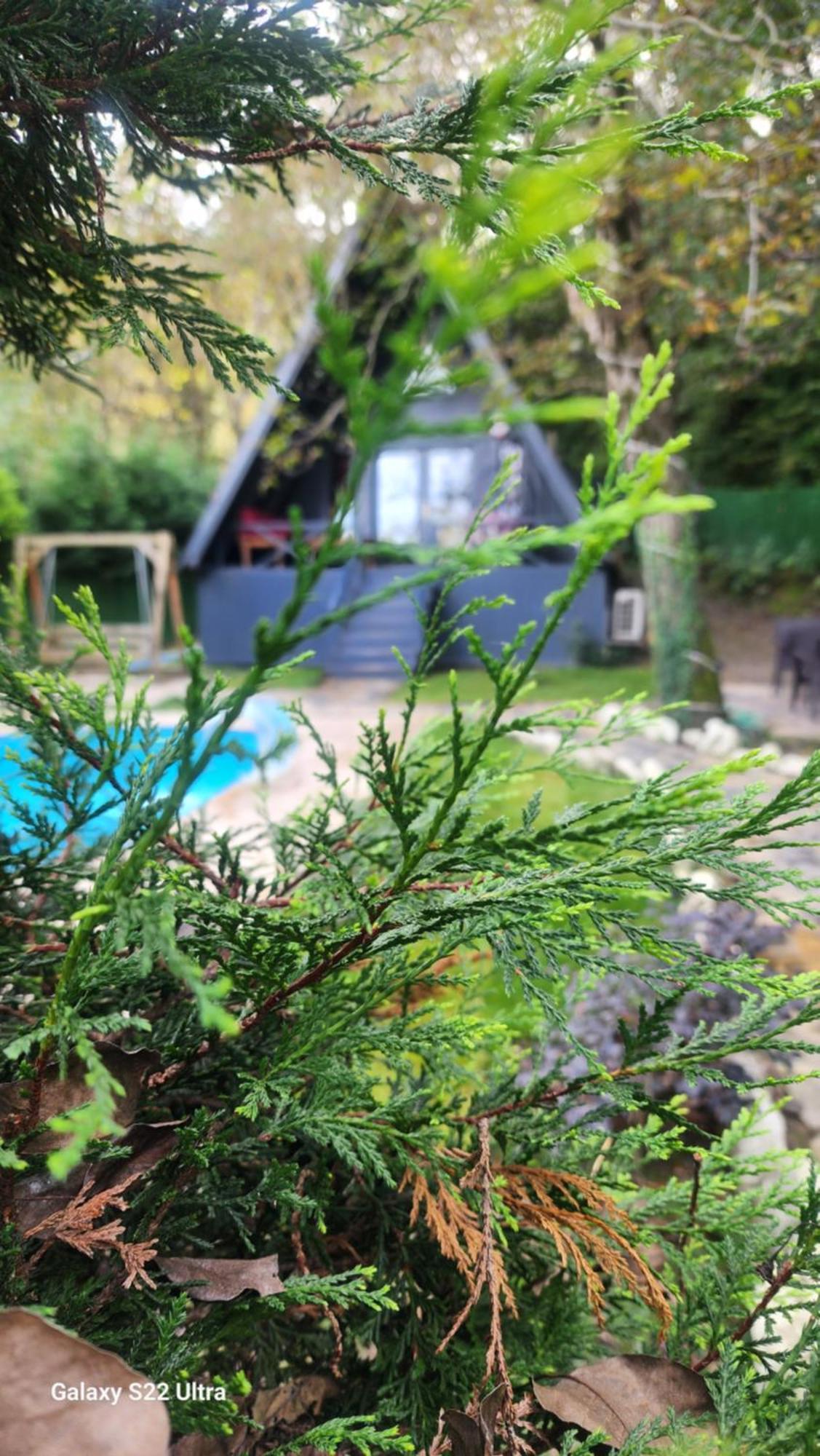 Sapanca Caglayan Bungalow エクステリア 写真